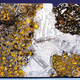 Image for article titled 30 Starry Wonders Hiding Inside of Dull Meteorites
